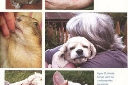 Animal Welfare Institute - Healing Touch